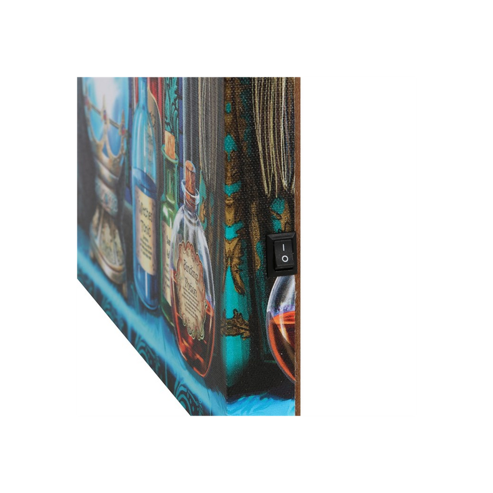 The Witches Apprentice Light Up Canvas Plaque by Lisa Parker