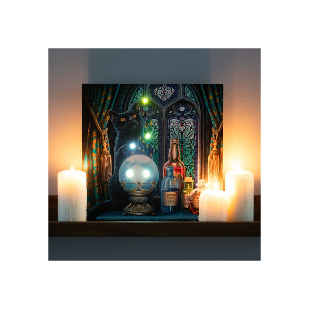 The Witches Apprentice Light Up Canvas Plaque by Lisa Parker