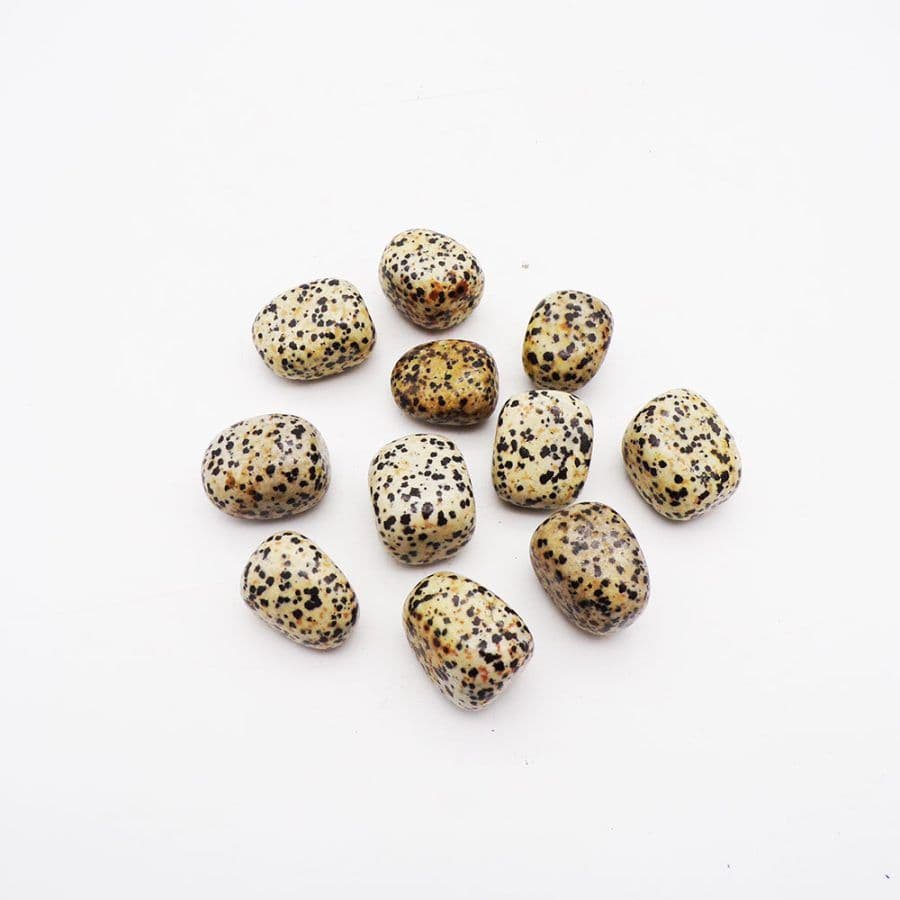 Dalmation Jasper Tumblestones