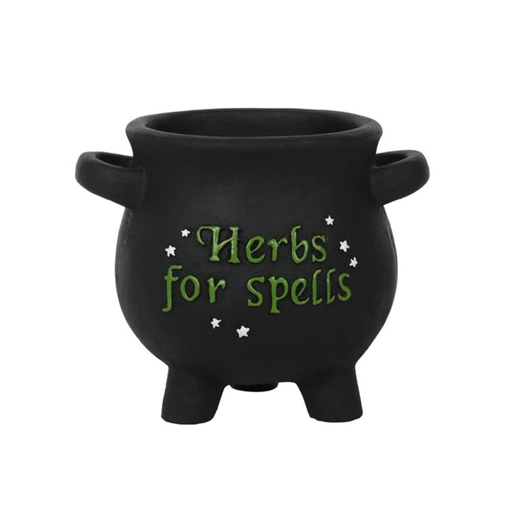 Small Herbs For Spells Cauldron Plant Pot